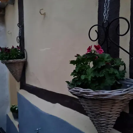 Schatzliebe Holiday home