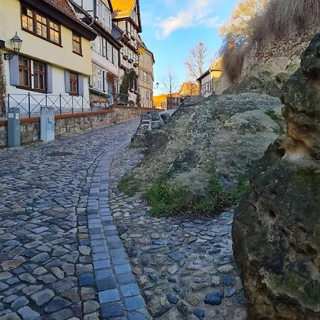 Schatzliebe 펜션 *